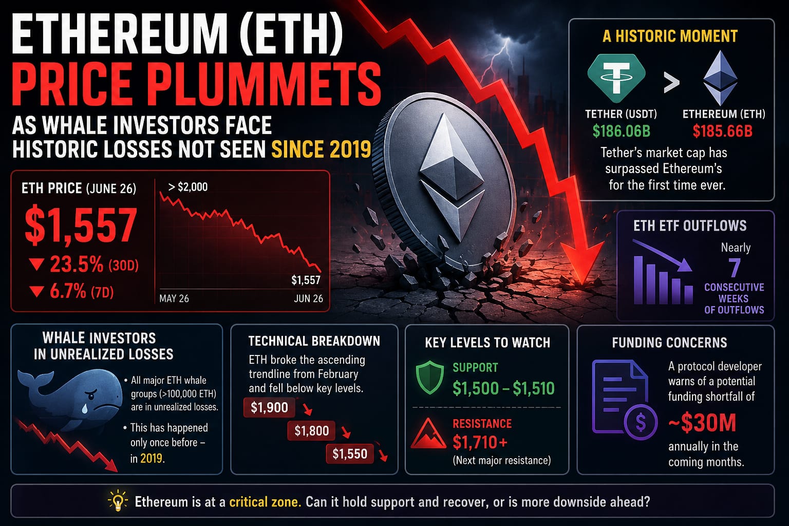 Ethereum Price Crashes 23% as Whale Investors Enter Rare Loss Zone for First Time Since 2019